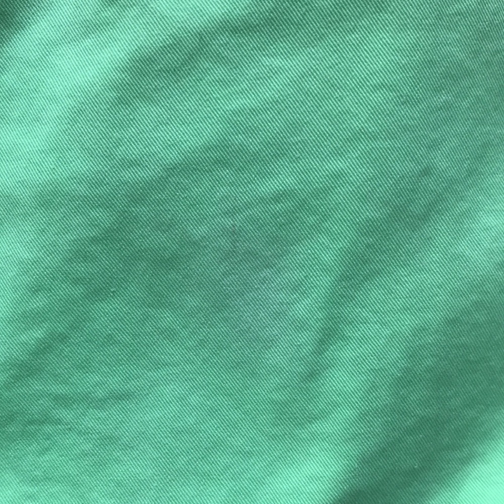 Polo Ralph Lauren Classic Fit Shorts - Picture 10 of 11